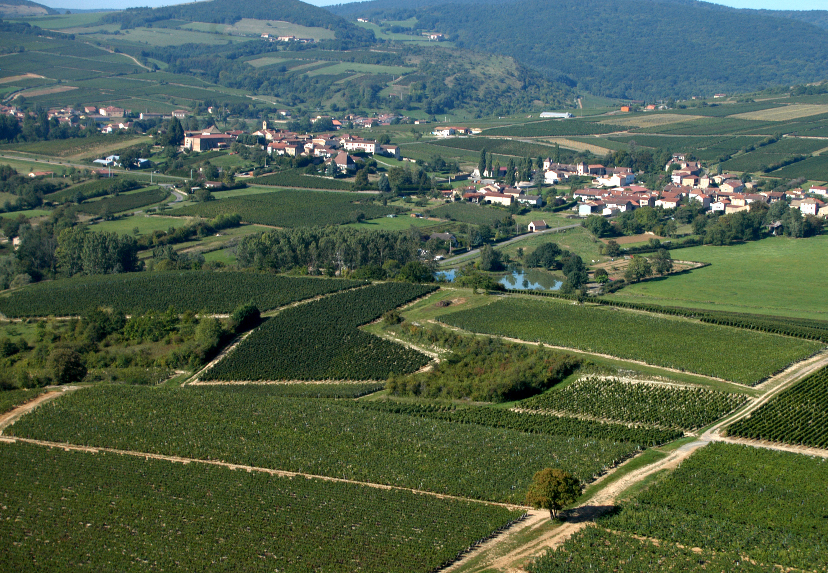 Domaine Fichet