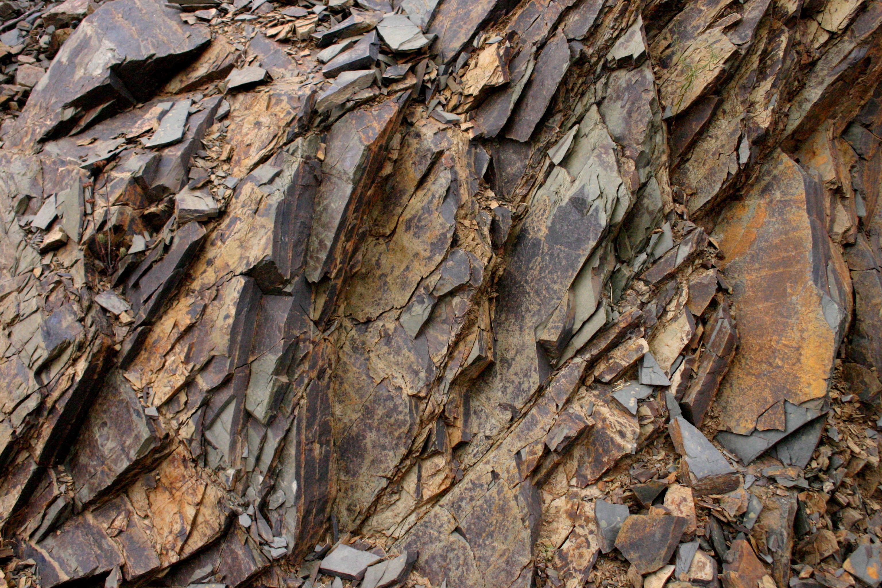 Vinicola del Priorat