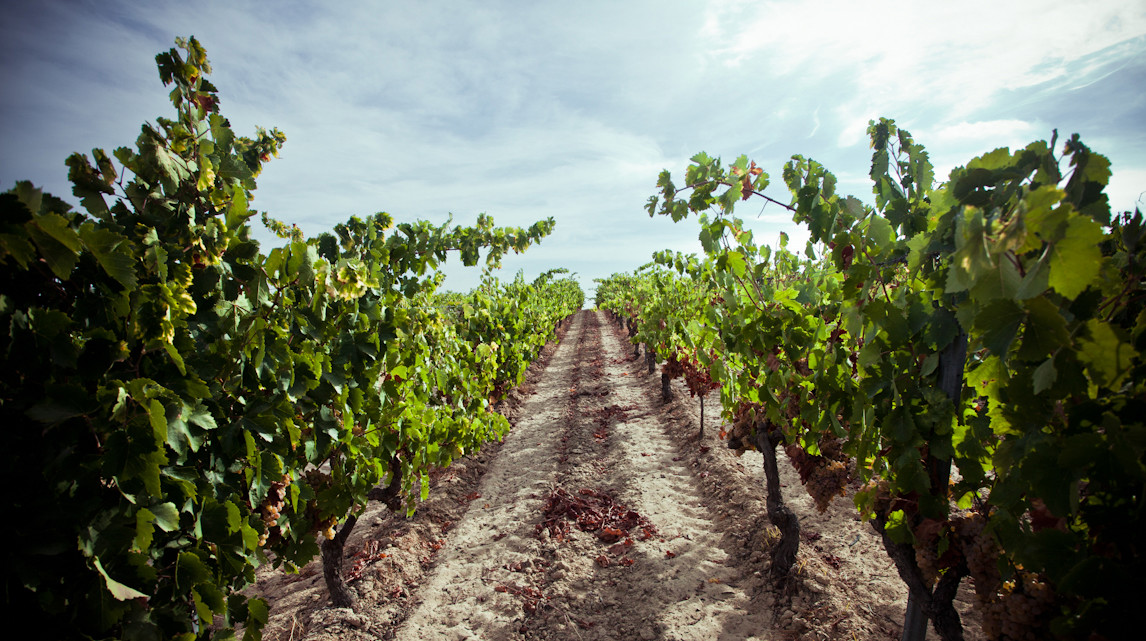Bodegas Contreras Ruiz