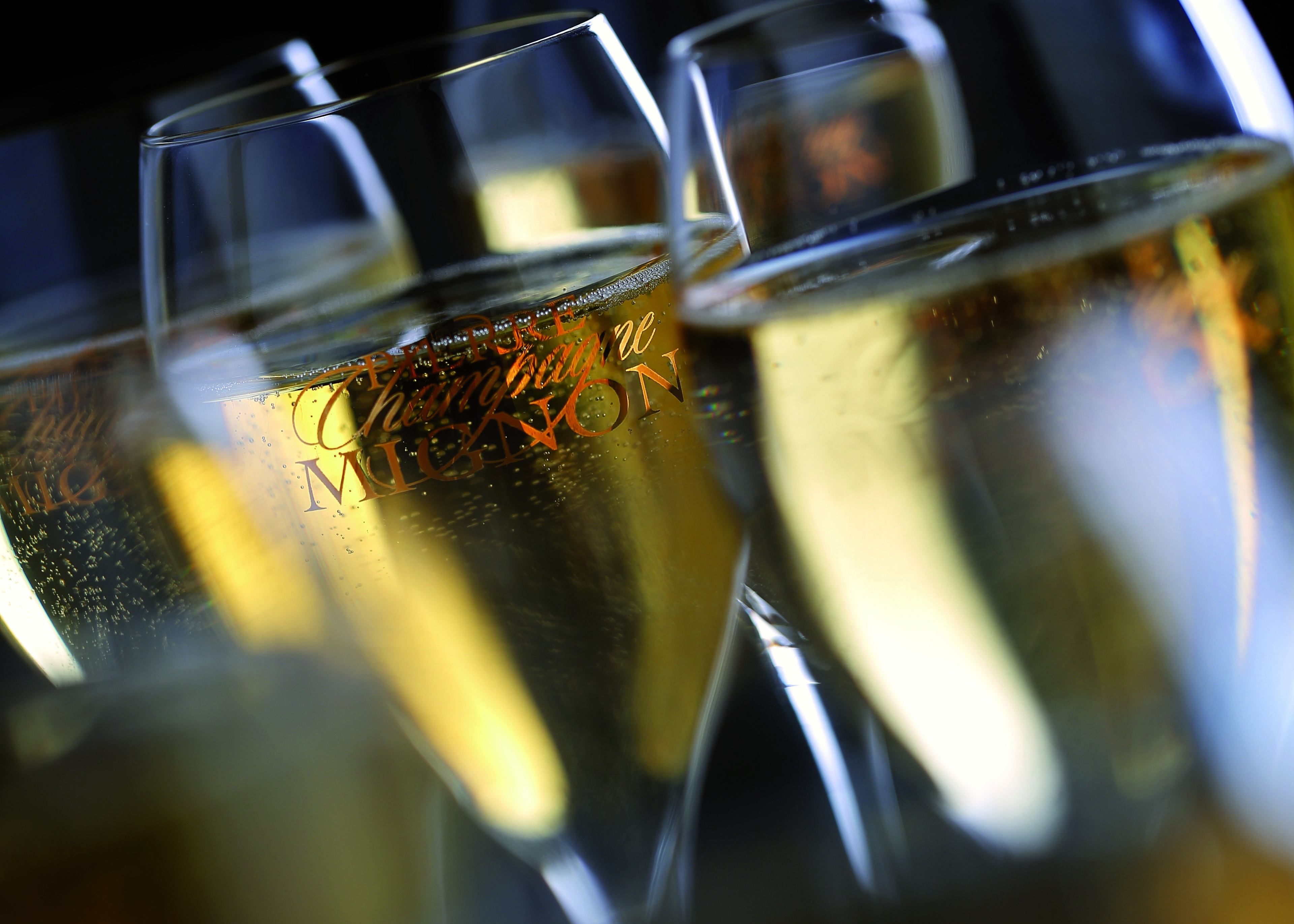 Champagne Pierre Mignon