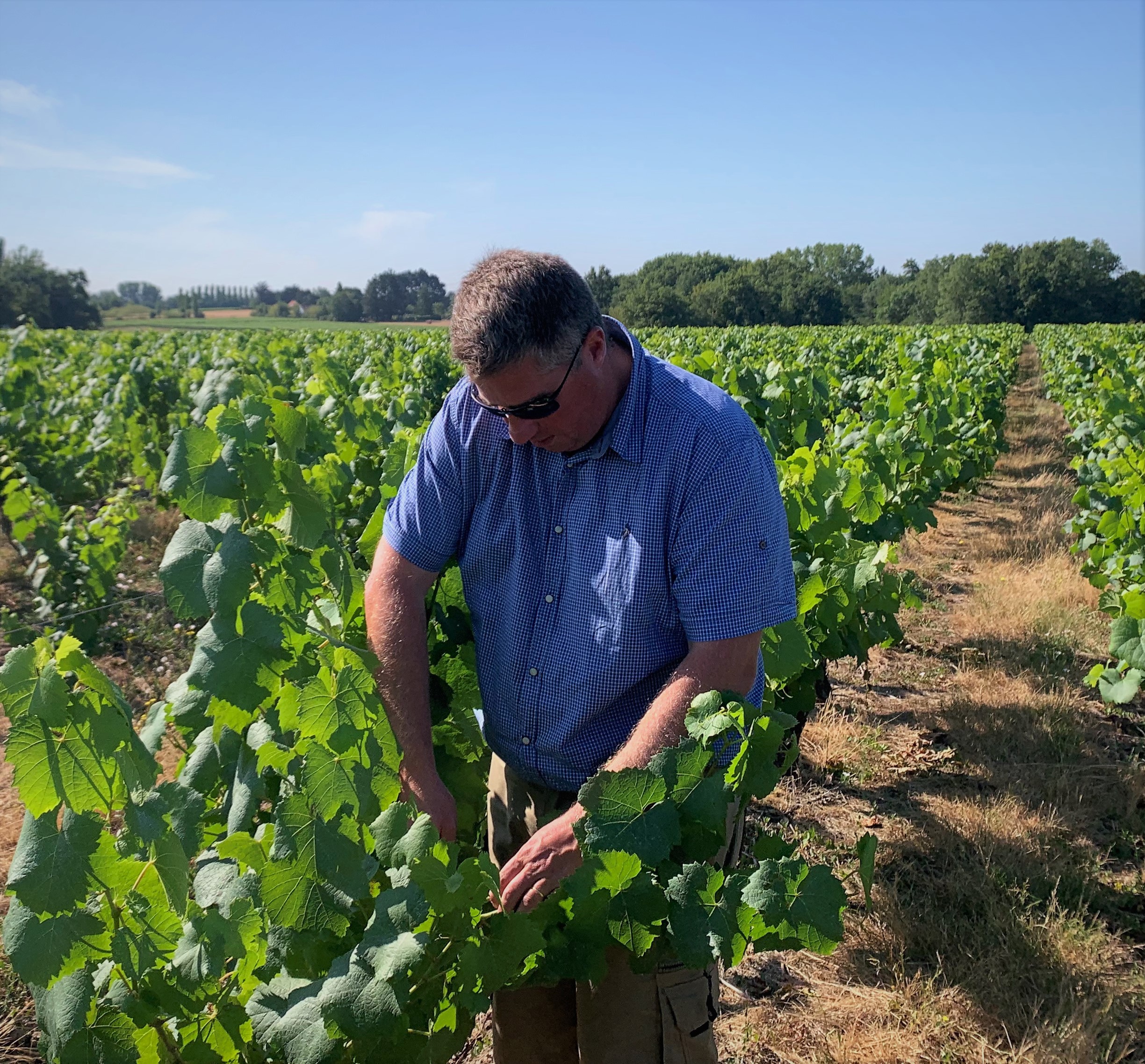 Domaine des Herbauges