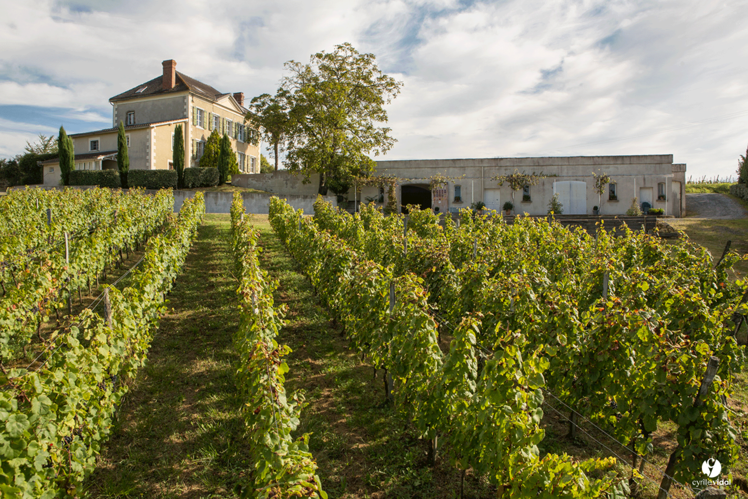 Domaine Capmartin
