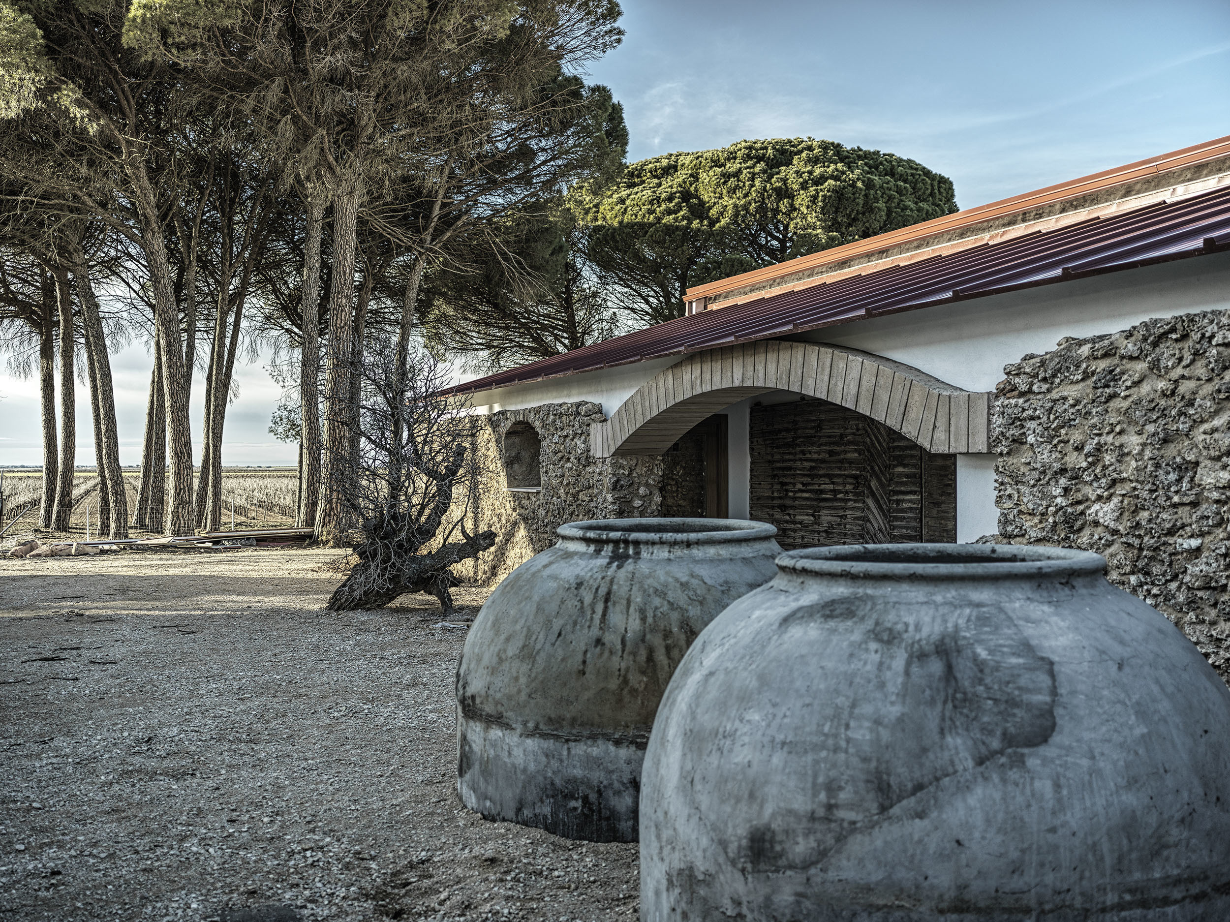 Bodegas y Viñedos Tinedo