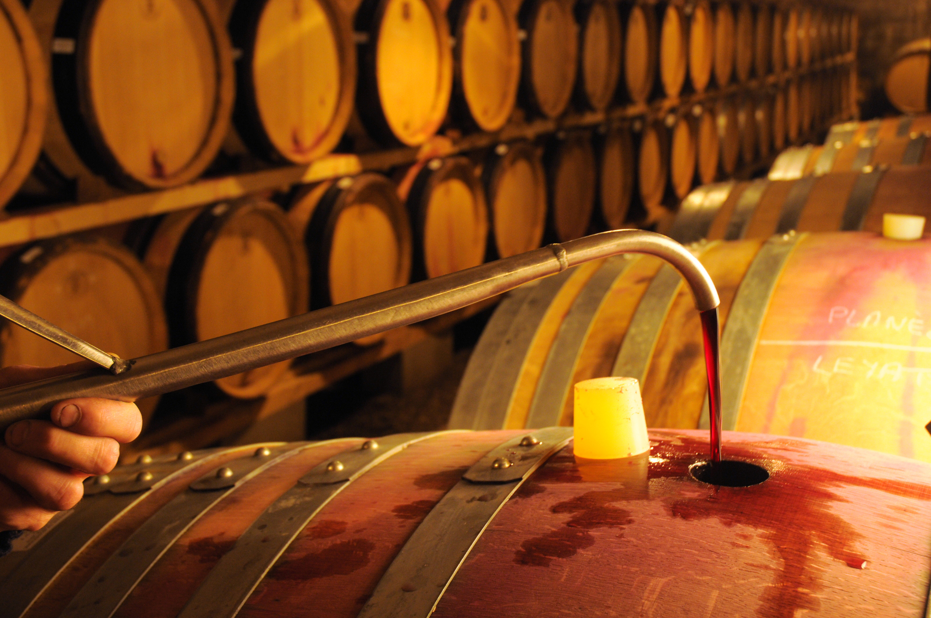 Domaine de Bonserine