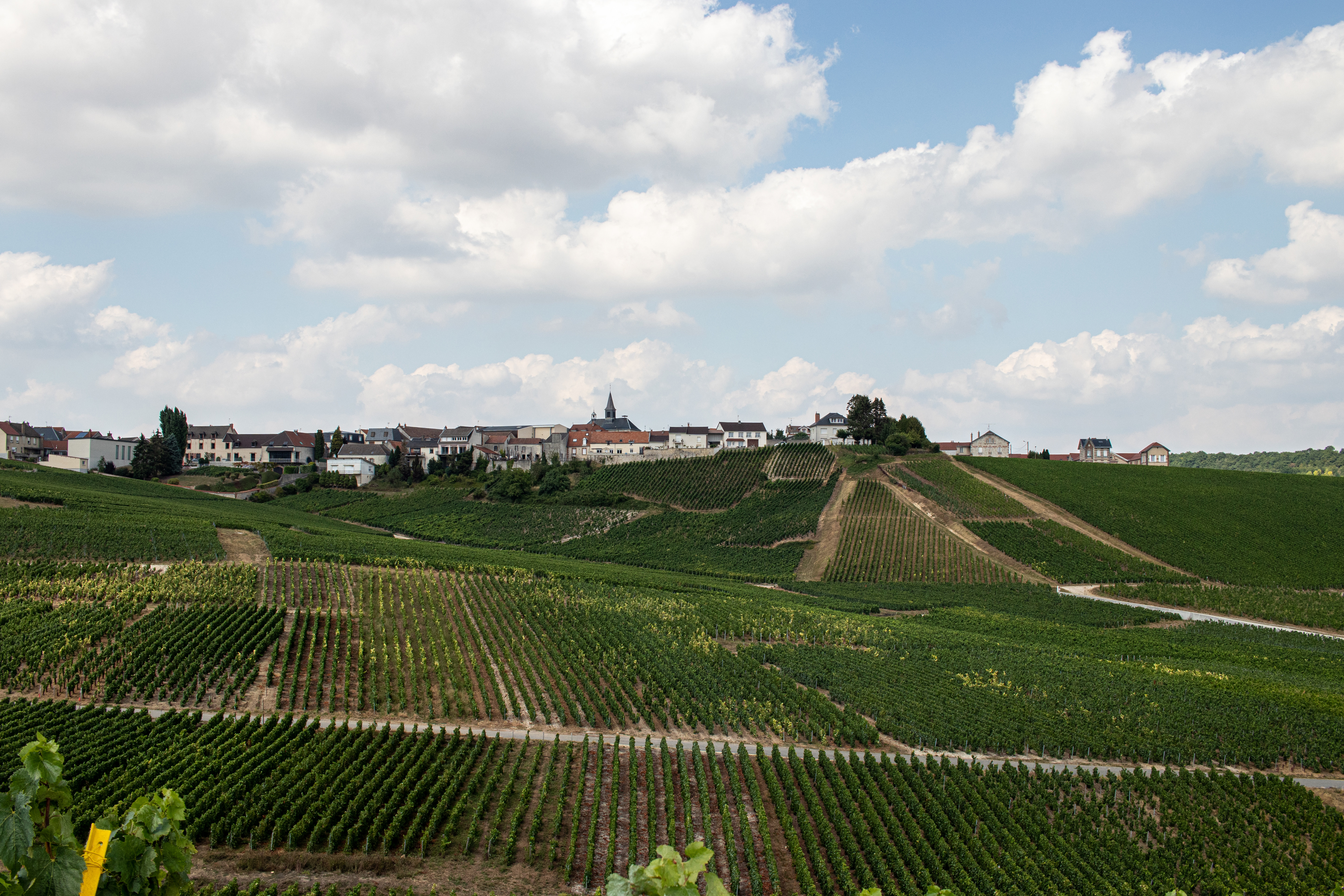 Champagne Paul Lebrun