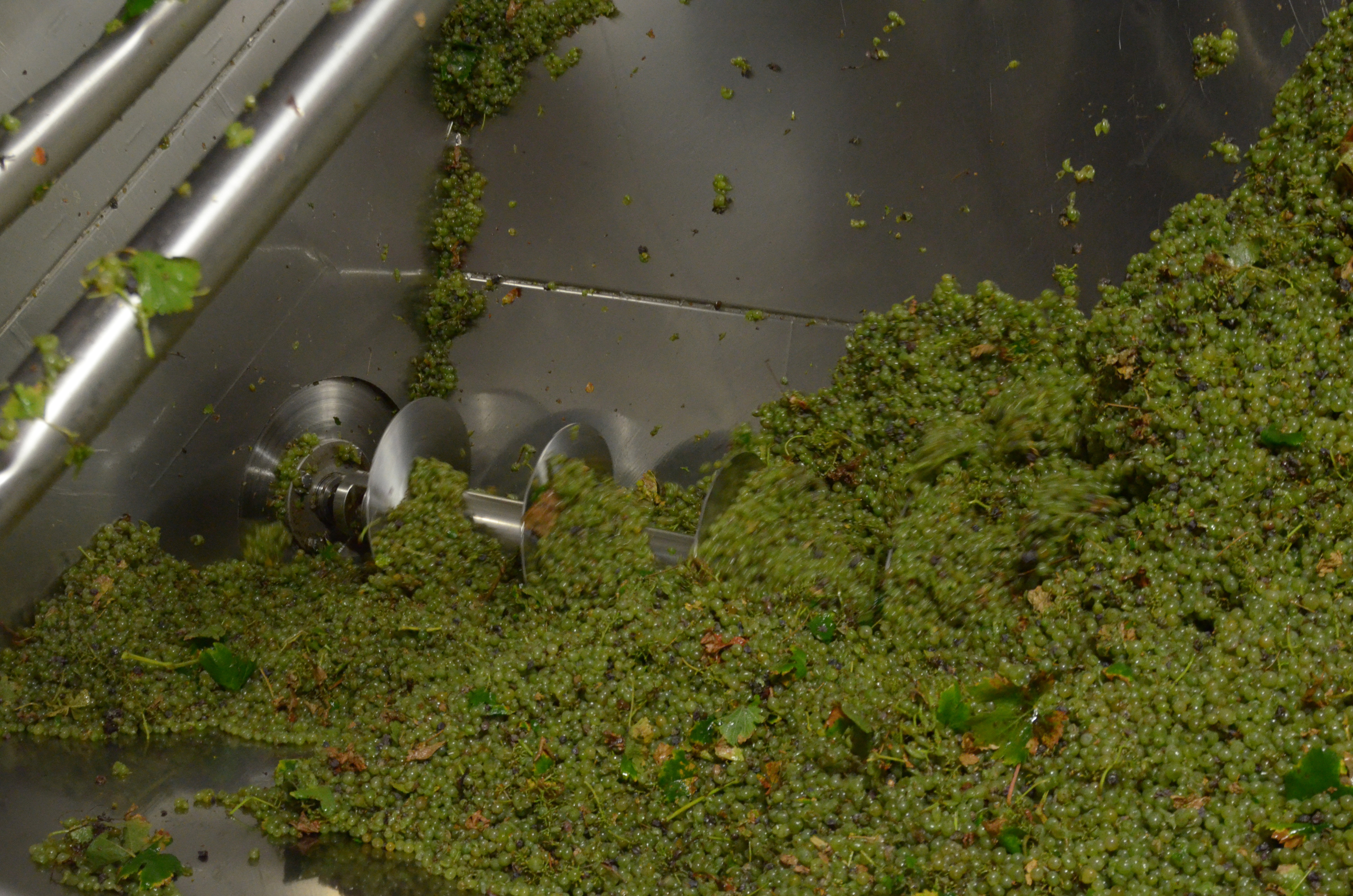 Vignerons de Florensac