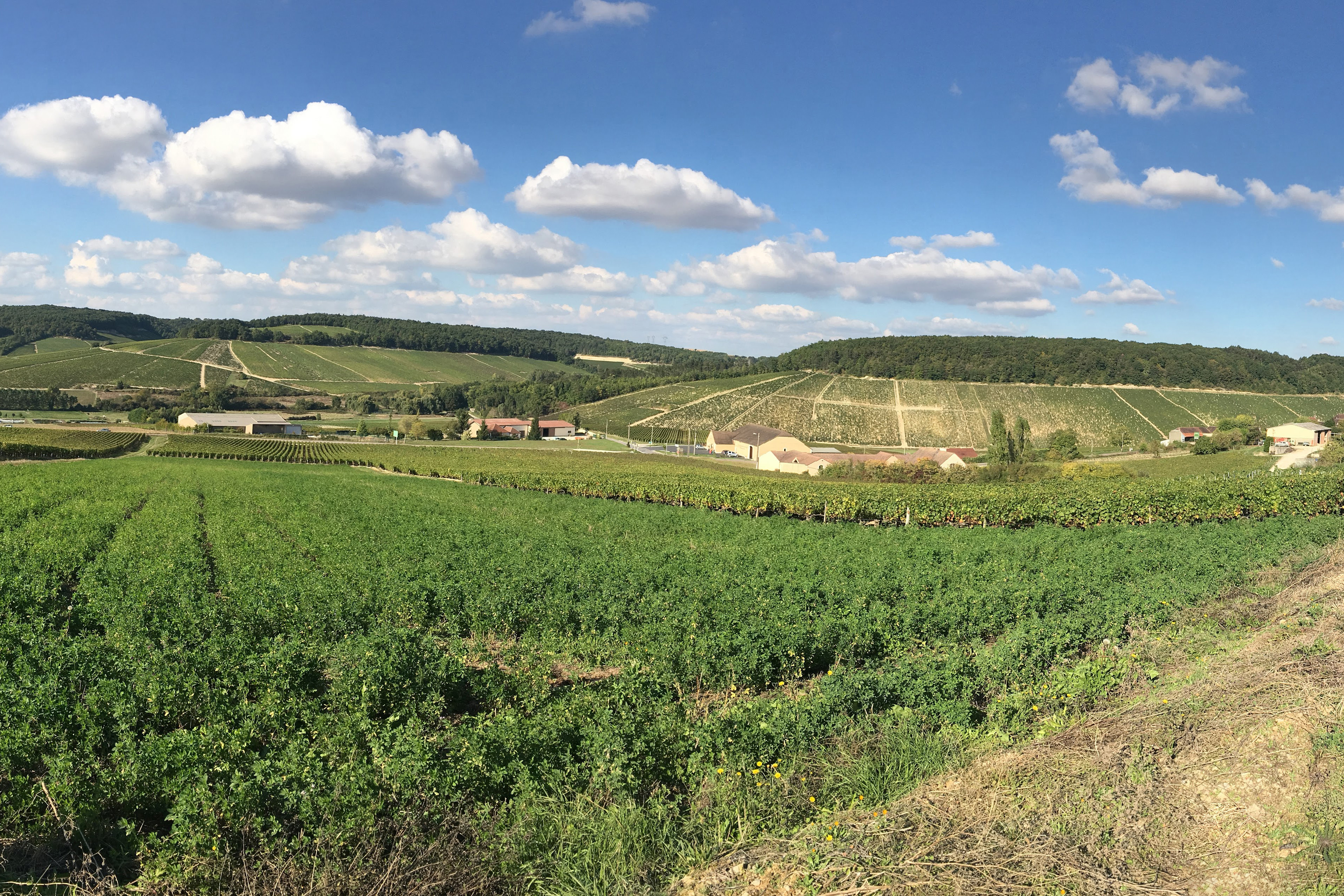 Domaine Michaut Freres