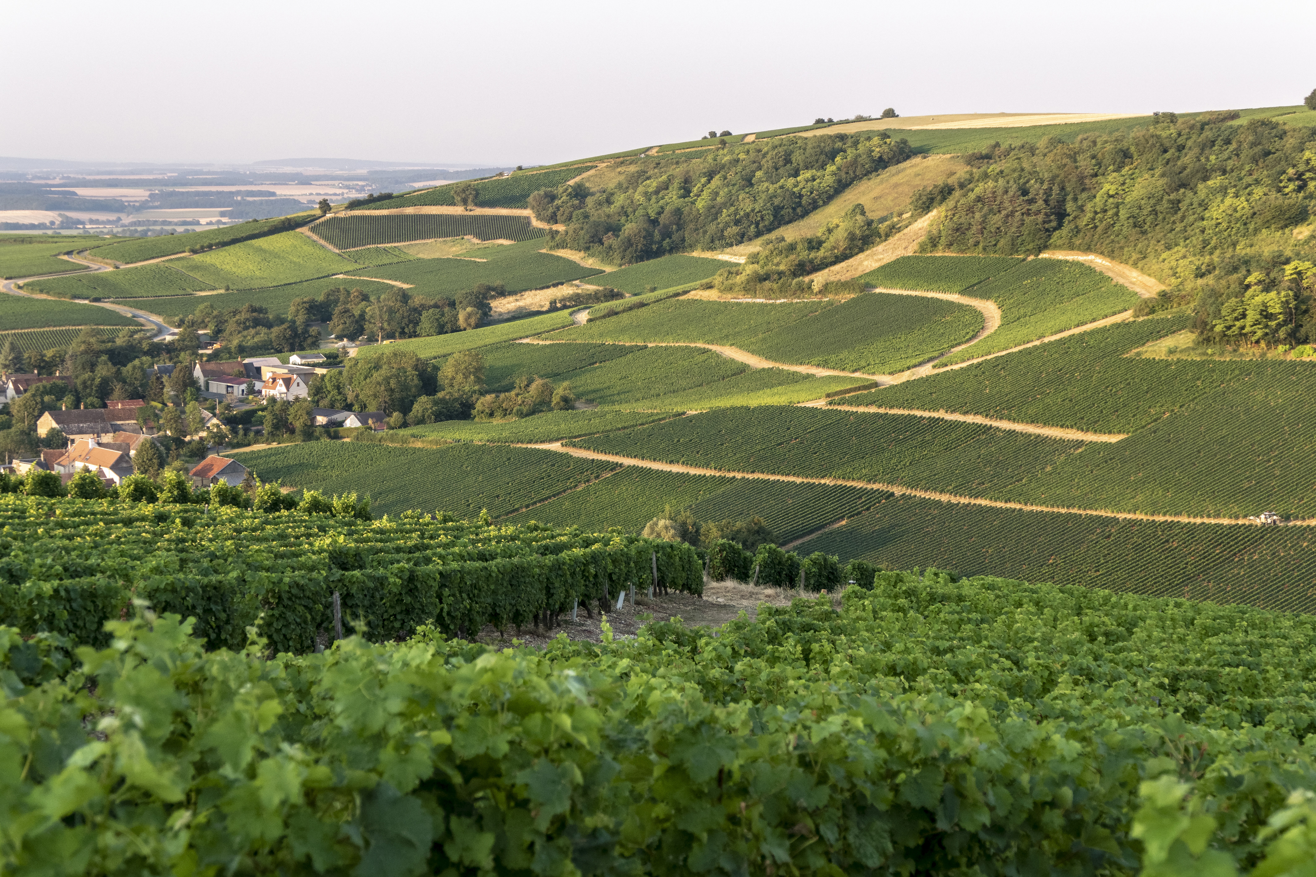Domaine Jean-Paul Picard