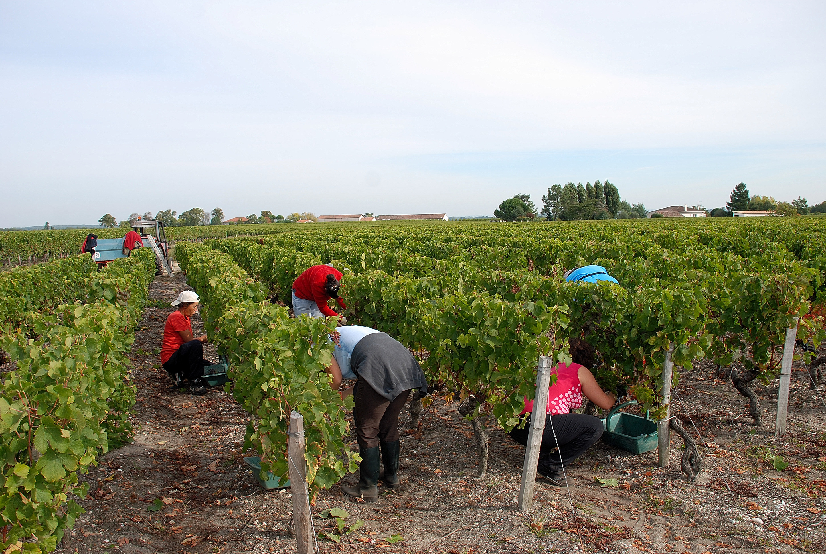 Château Lamothe-Cissac