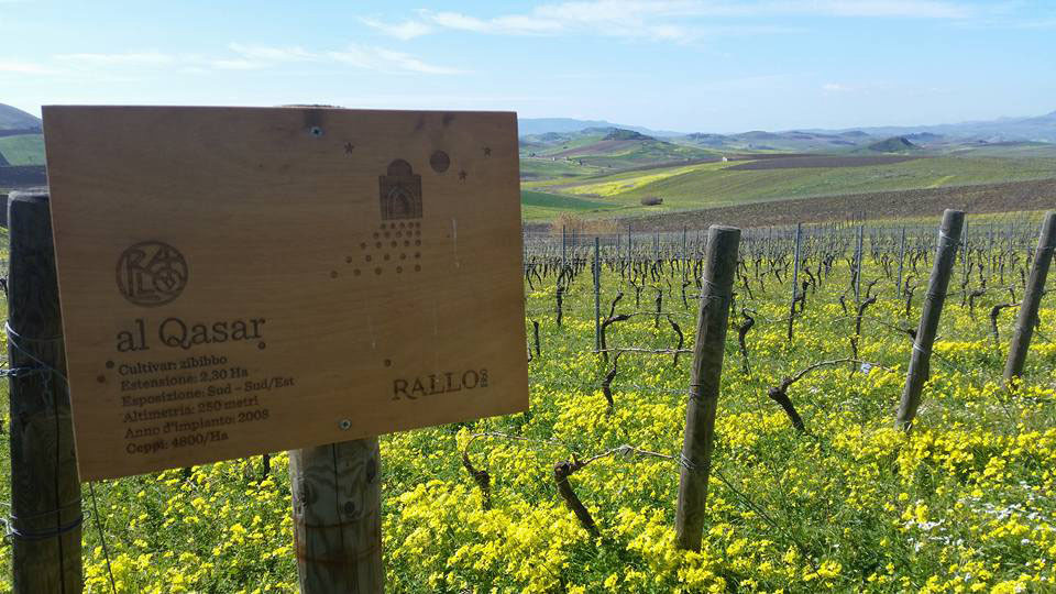 Rallo Azienda Agricola