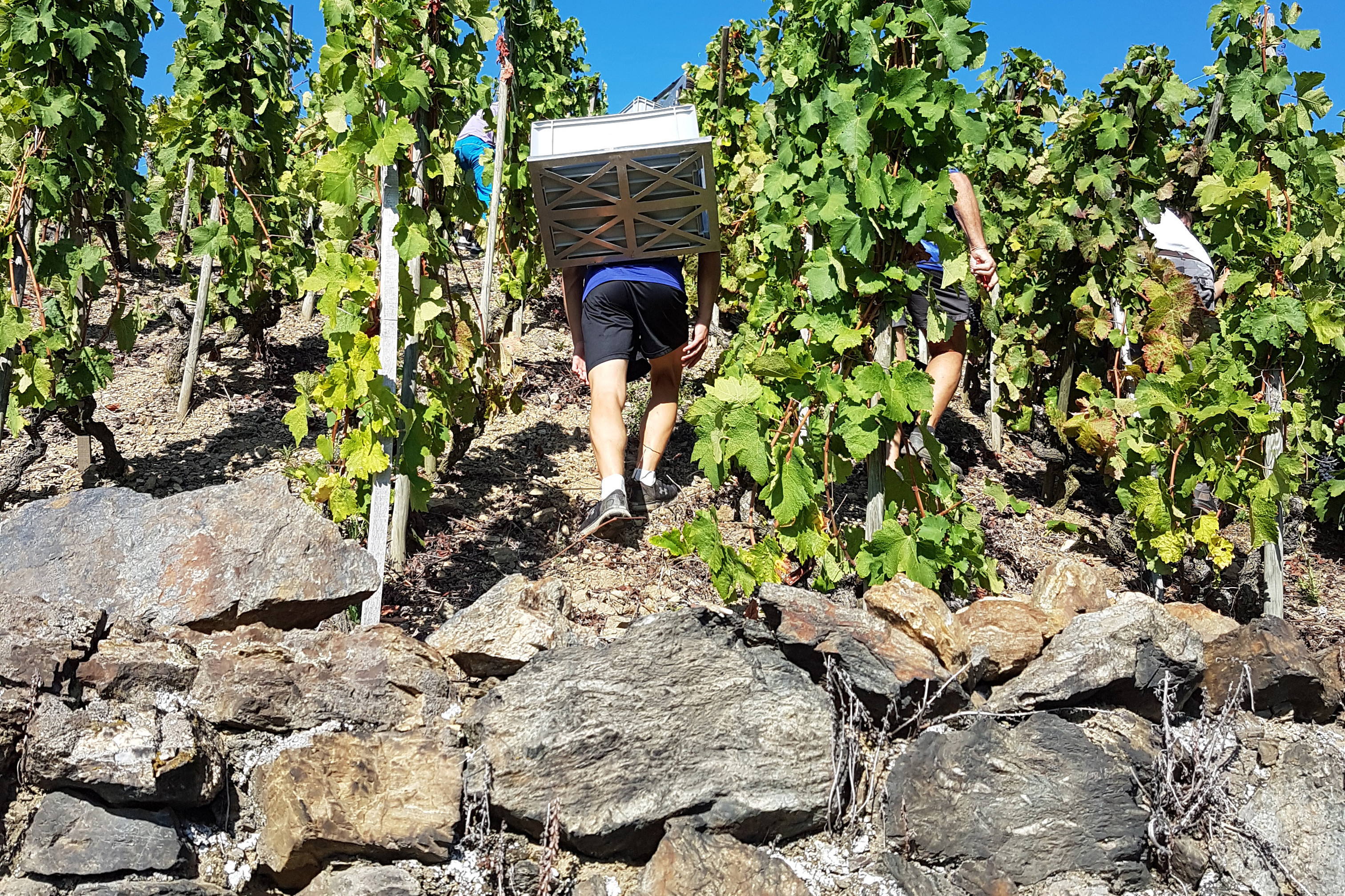 Domaine de Bonserine