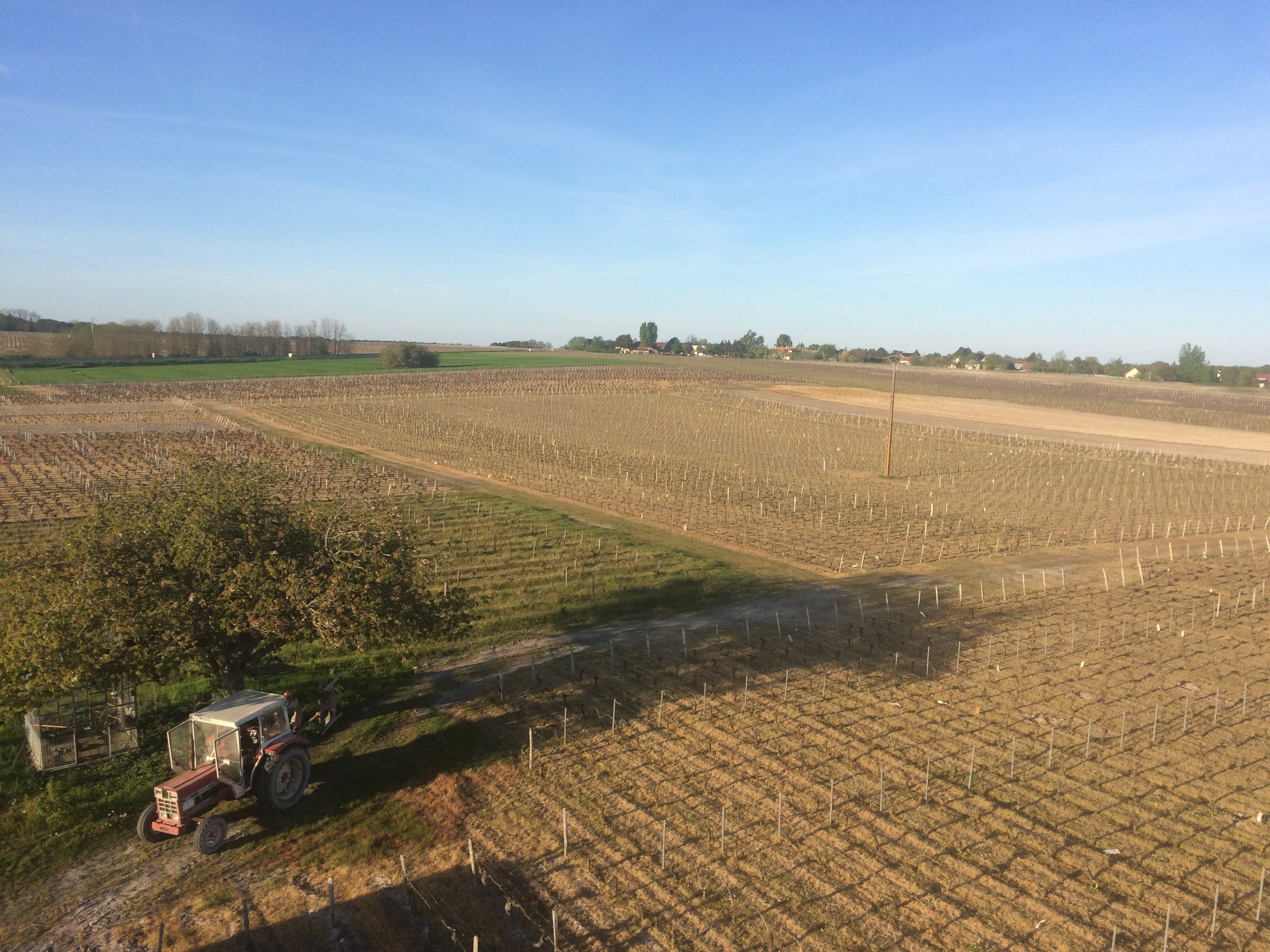 Domaine Patrick Vauvy