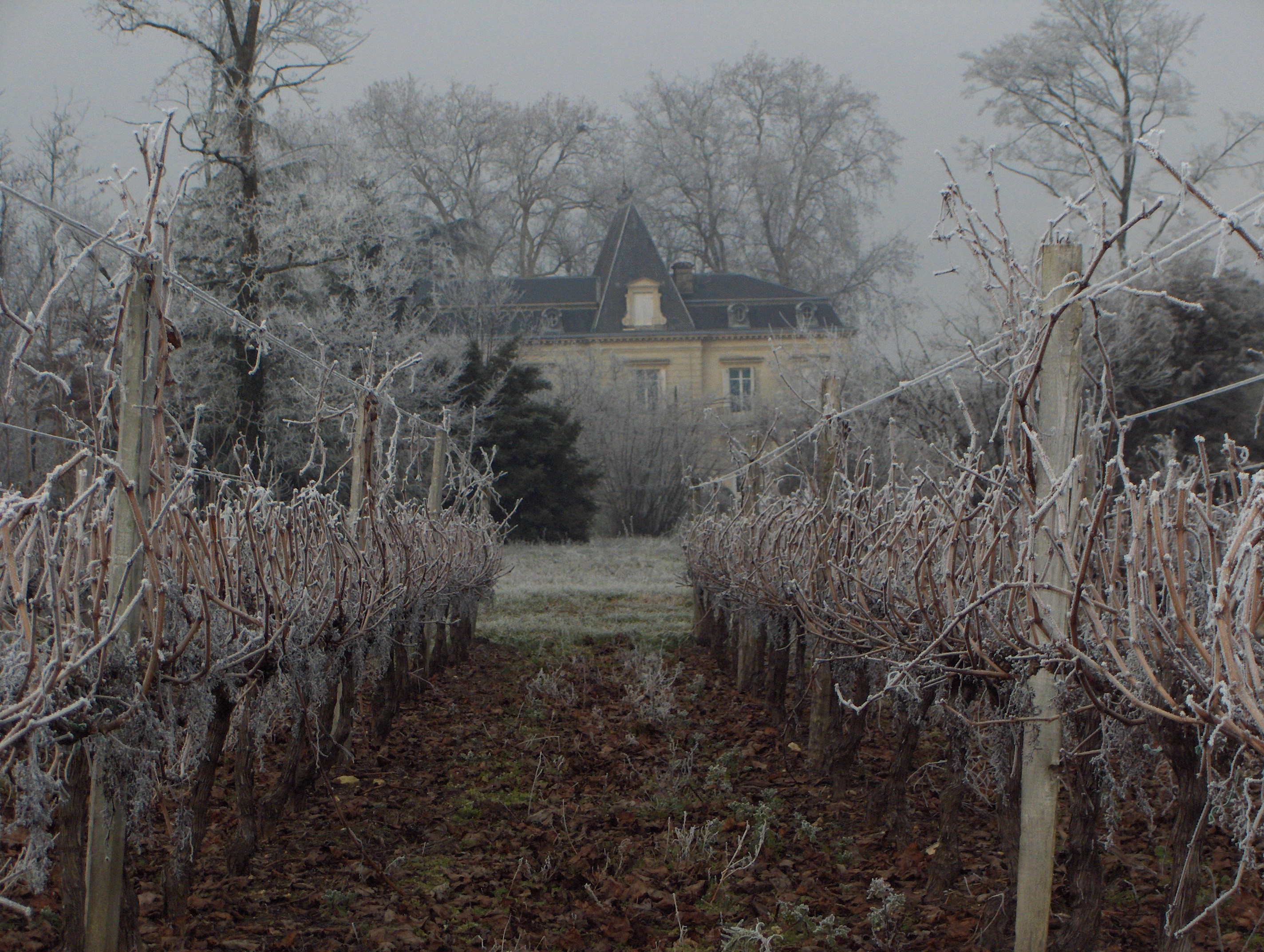 Château Lamothe-Cissac