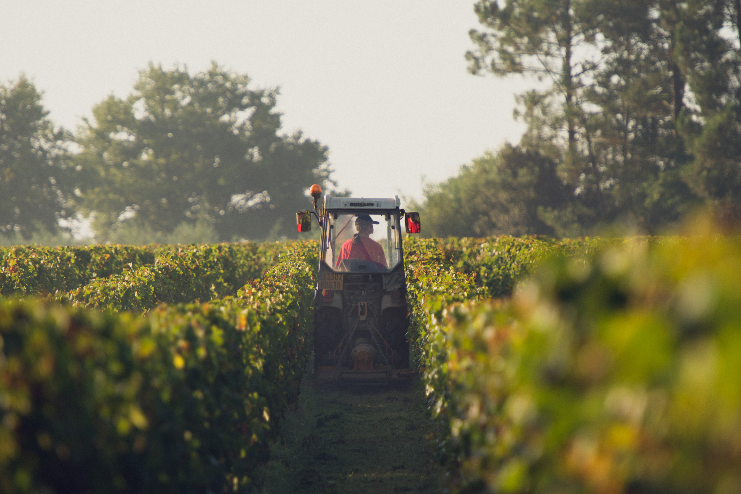CHÂTEAU TREYTINS, France