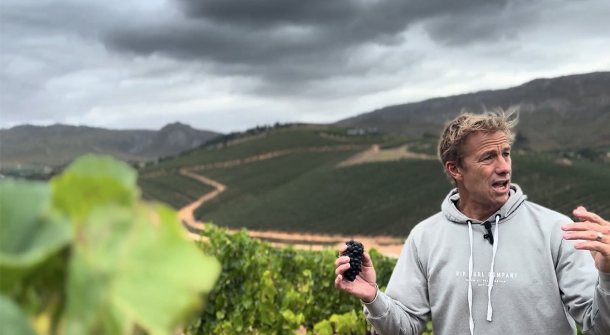Pieter Walser in a vineyard