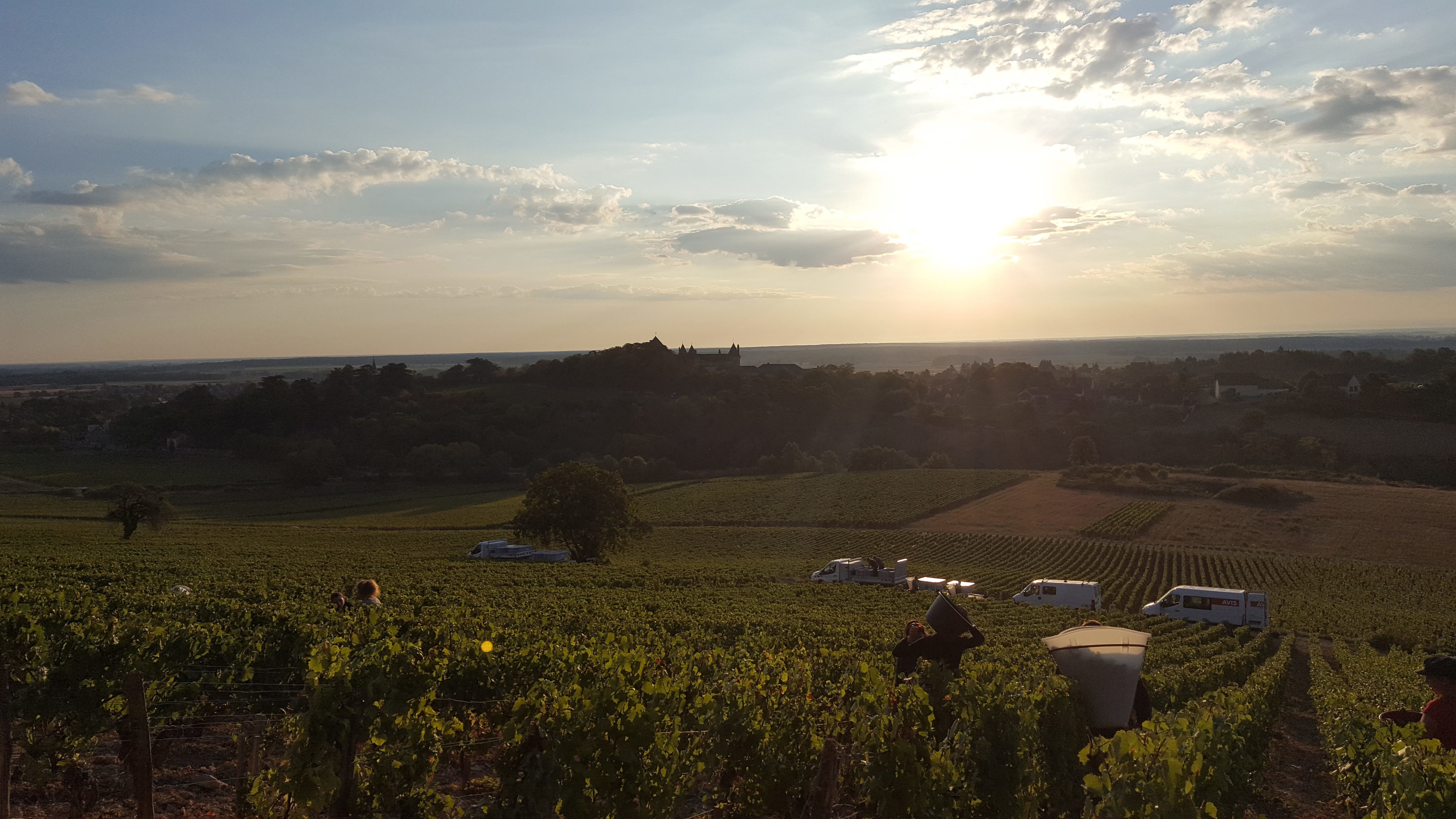 Domaine Bernard Defaix
