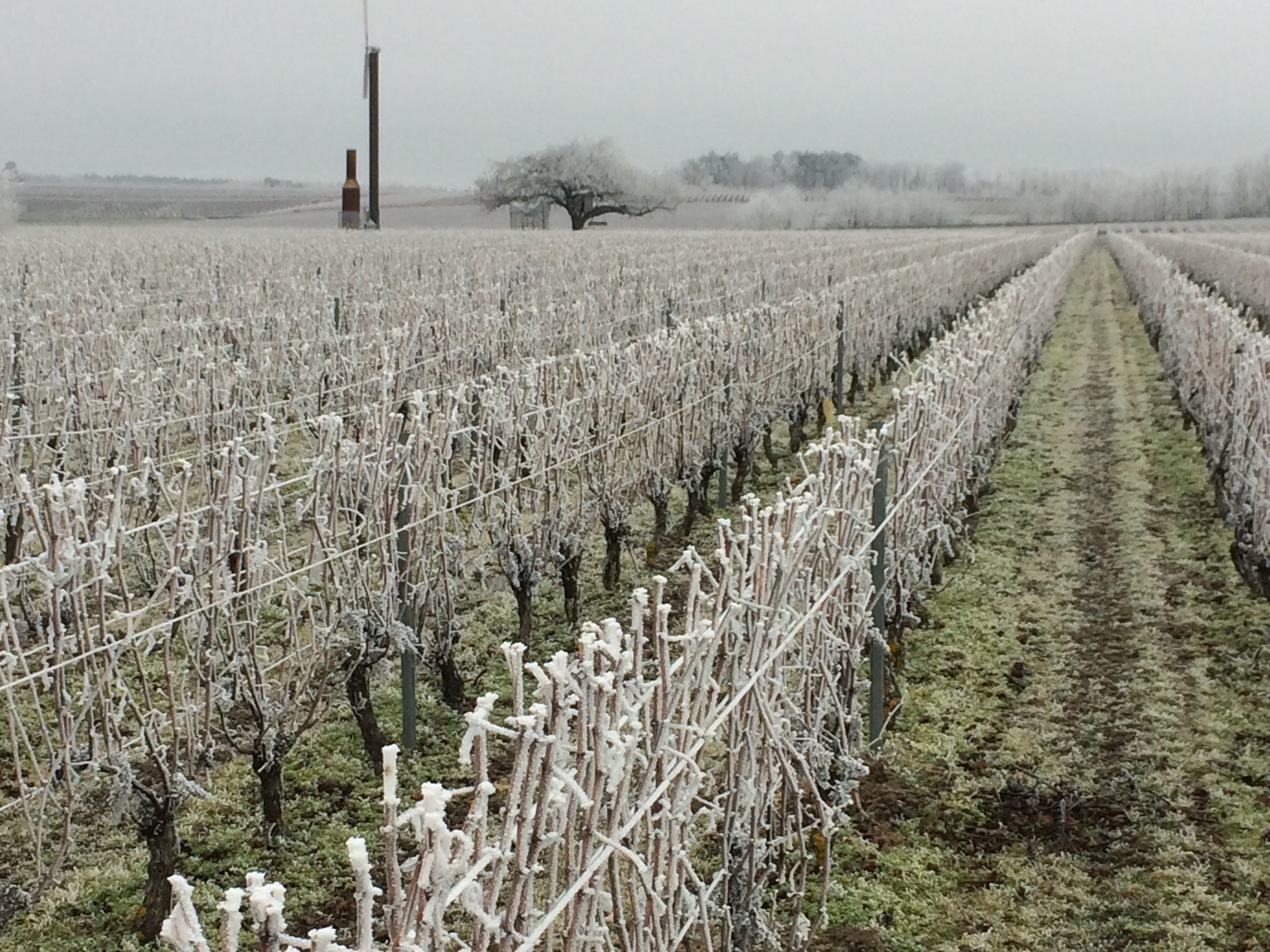 Domaine Patrick Vauvy