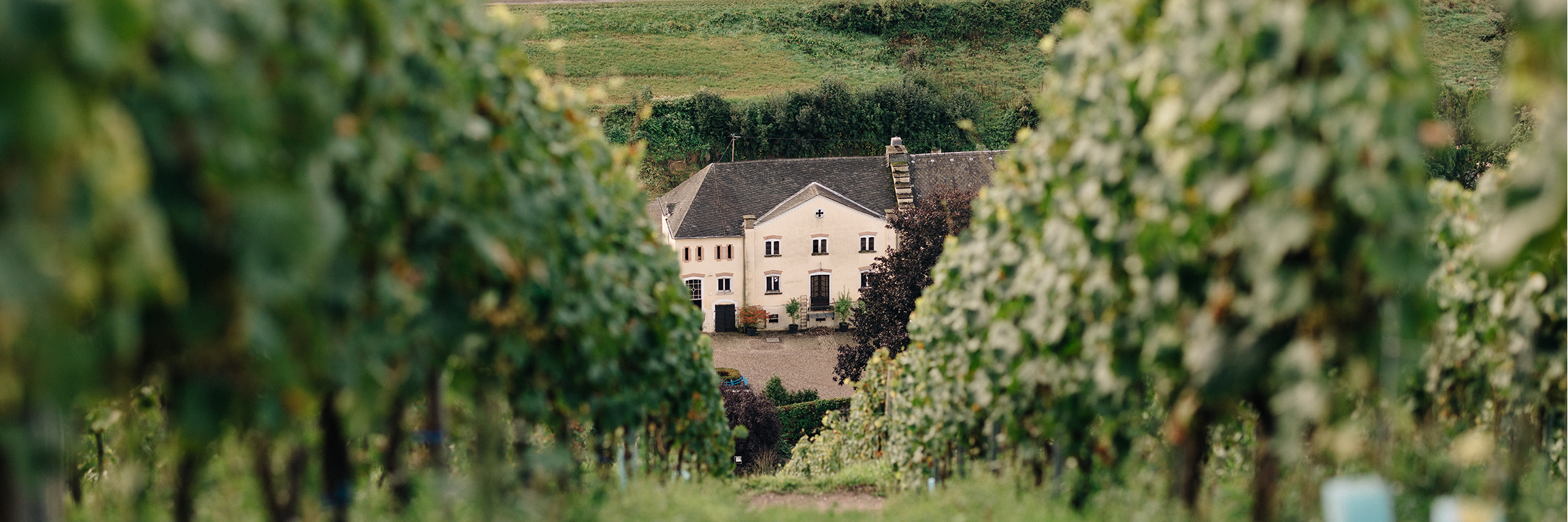 WEINGUT KARTHÄUSERHOF, Germany