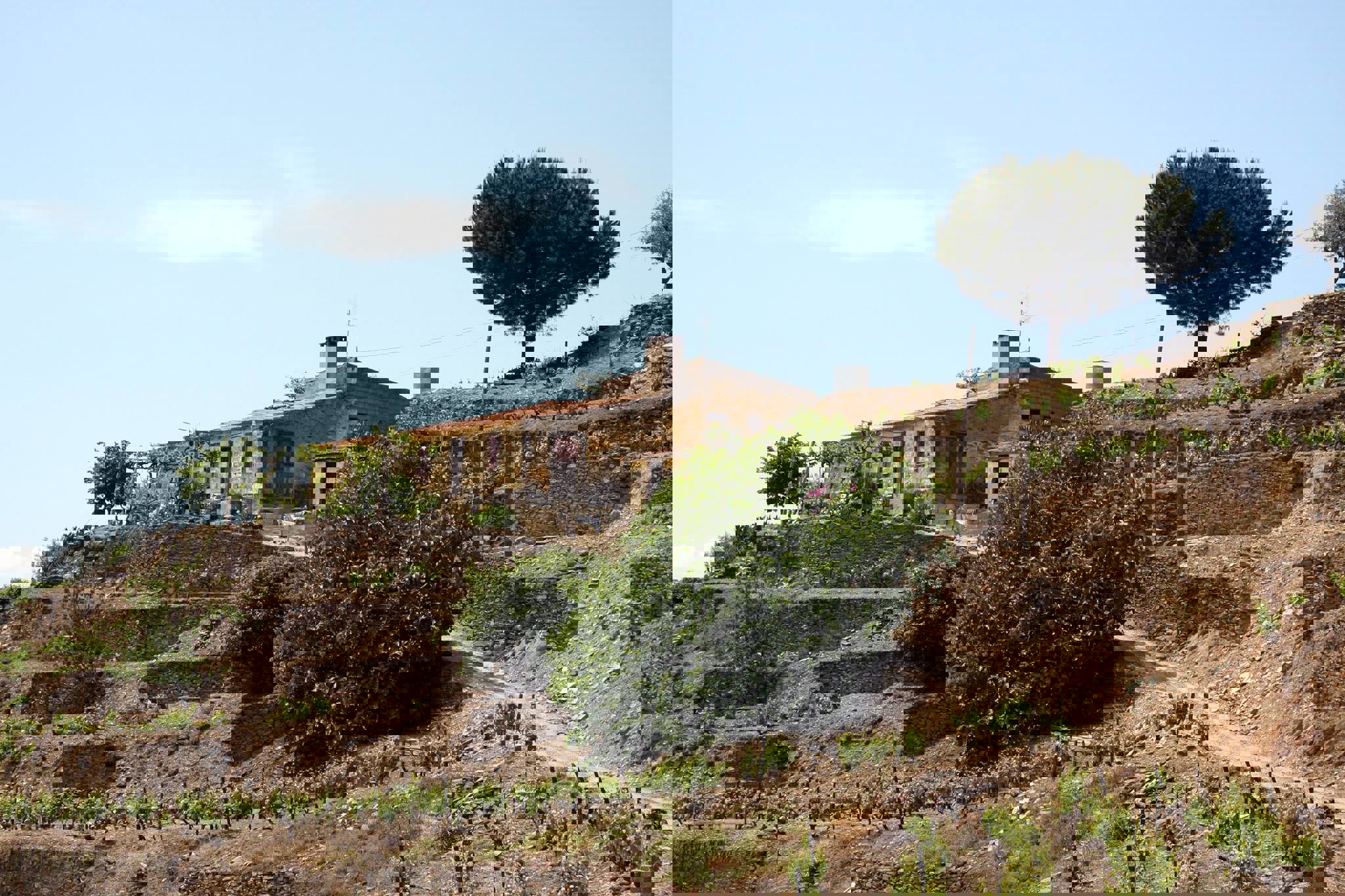 QUINTA DA COSTA DO PINHÃO, Portugal