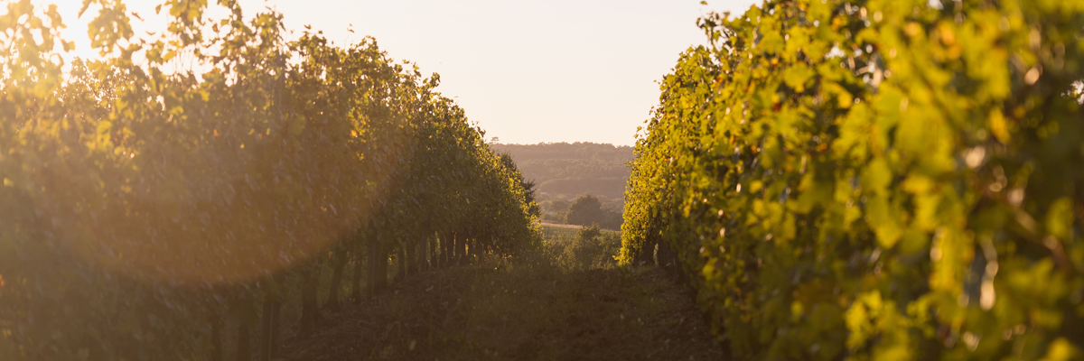 Domaine Clarence Dillon